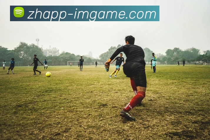 IM电竞官网发展历程